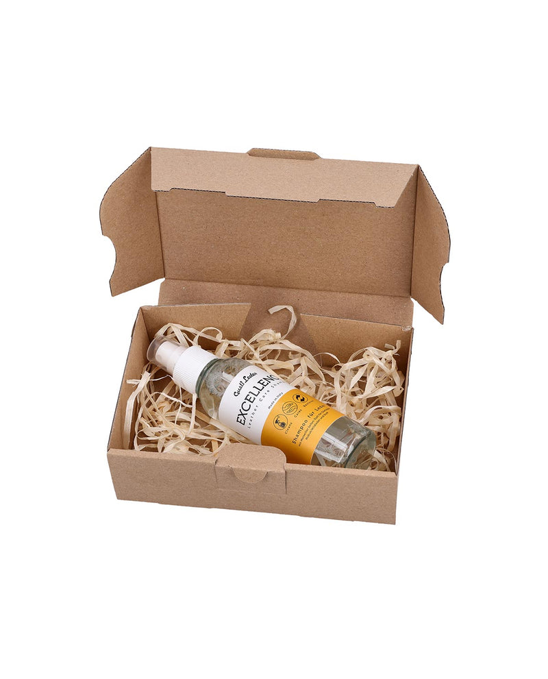 gusti-leder-leder-shampoo-reinigung-und-pflege image 2
