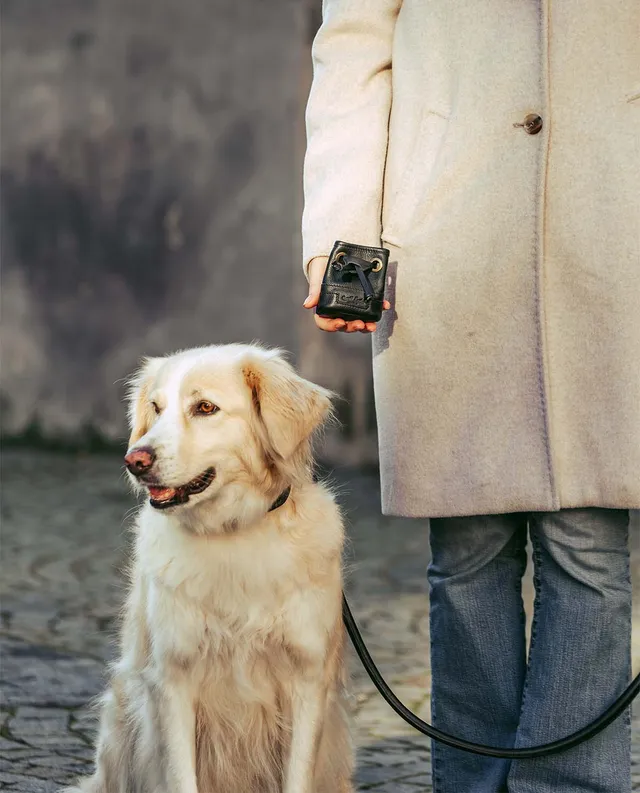 gusti-leder-alaric-leckerlibeutel-belohnungsbeutel-aus-leder-f-r-hunde image 1