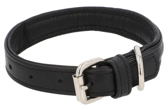 gusti-leder-anselm-hundehalsband-aus-leder-schwarz image 1