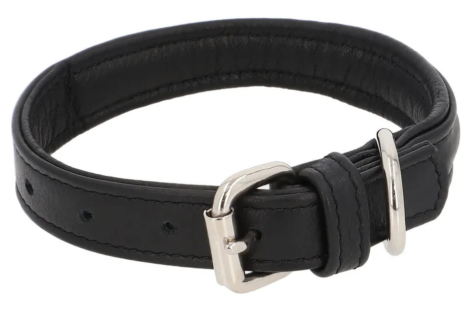 gusti-leder-anselm-hundehalsband-aus-leder-schwarz image 1